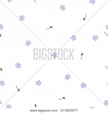 Seamless floral pattern forget-me-not violet flowers. Myosotis gentle flower pattern on white background, vector, eps 10