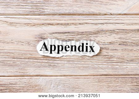 appendix of the word on paper. concept. Words of appendix on a wooden background.