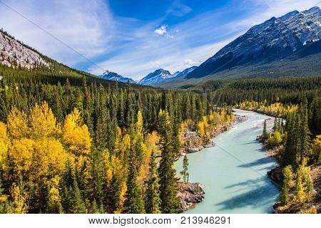 Warm sunny day in autumn. Abraham Lake is the beautiful lake in the Rockies. Dense forests cover the lake shores. The concept of ecological and active tourism