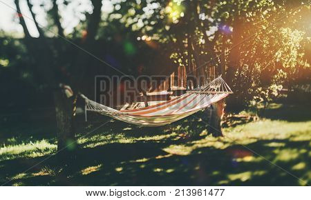 True tilt-shift view of empty striped hammock stretched between two apple trees in the garden on a sunny day with fence in background and meadow with glares of sun in defocused foreground