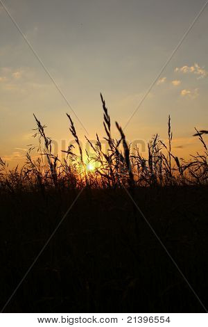 Eine Landschaft