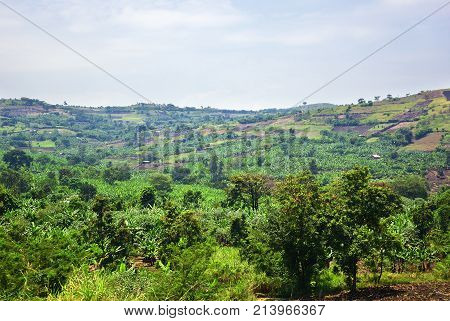 Uganda Rural Landscape, Africa
