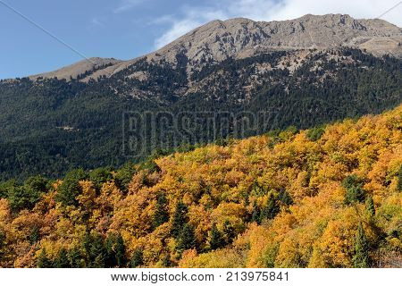 Mountain landscape. View of the mountains in the morning on a sunny, autumn day (region Corinthia, Greece)