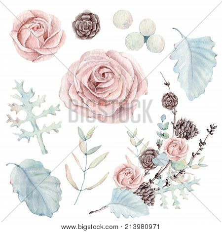 watercolor set of  botanical illustrations. Perfect for christmas and winter wedding design.