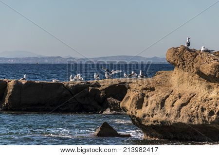 Coast Of The Island Of Tabarca, Santa Pola