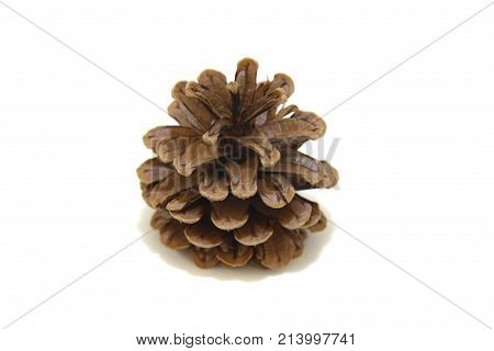 One cone isolated on the white background with tiny shaddow