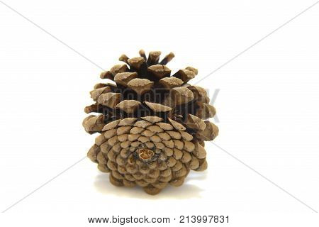 One cone isolated on the white background with tiny shaddow