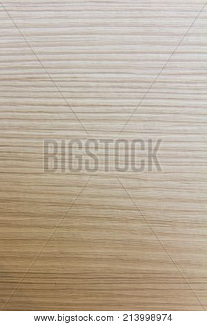 Wood texture. Wood texture for design and decoration