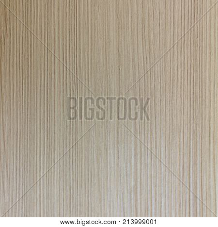 : Wood texture. Wood texture for design and decoration