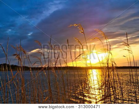 Beautiful Relaxing Lake Scene At Sunset With Shoreline Reeds And Mostly Cloudy Sky In Bemidji, Minne