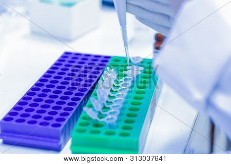 Scientist Pipette Dropping A Sample Into A Test Microtiter Tube.