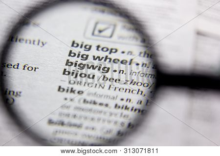 Word Or Phrase Bigwig In A Dictionary
