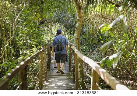 People Walking On A Wooden Footpath In The Middle Of The Forest. Straight Footpath Surrounded By Tre