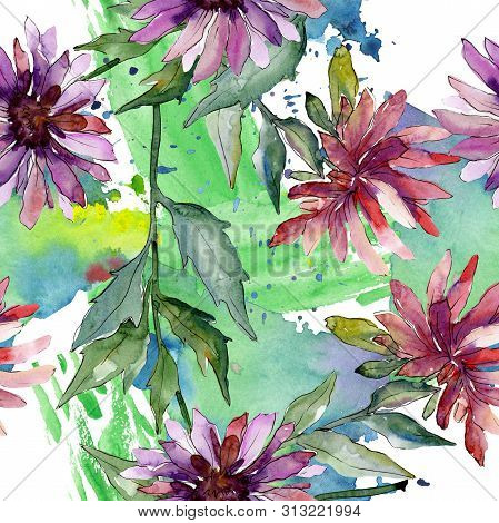 Aster Floral Botanical Flowers. Watercolor Background Illustration Set. Seamless Background Pattern.