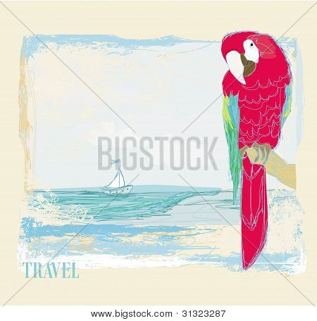 色彩缤纷的鹦鹉鸟坐在海滩上鲈鱼