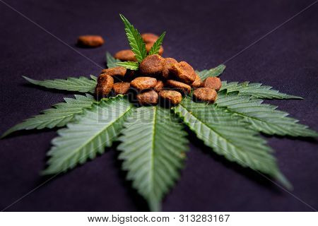 Dog treats and cannabis leaves isolated over black background - CBD and medical marijuana for pets concept