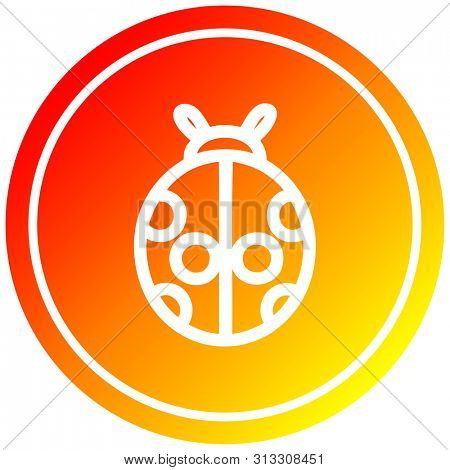 cute ladybug circular icon with warm gradient finish