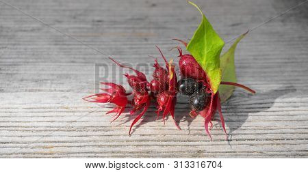 Himalayan Honeysuckle  Purple-black Berries With Green Leaves Isolated On Wood Background Close Up. 