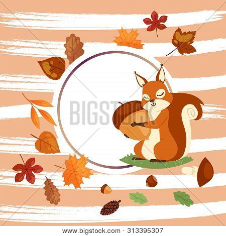 Squirrel Hugging Acorn And Standing On Grass In Forest Banner Vector Illustration. Loving Nuts. Anim