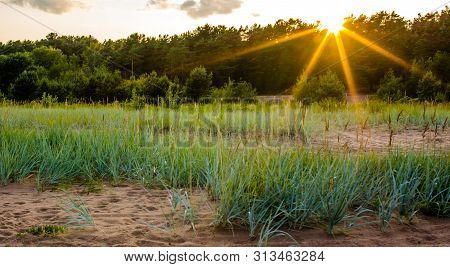 Sandy Beach And Sunset At The Bay