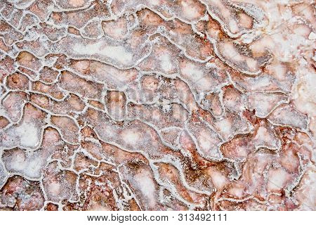 Undulatory Texture Of White Calcite Stalactites Covering A Cascade Of Terraced Baths In Pamukkale, T
