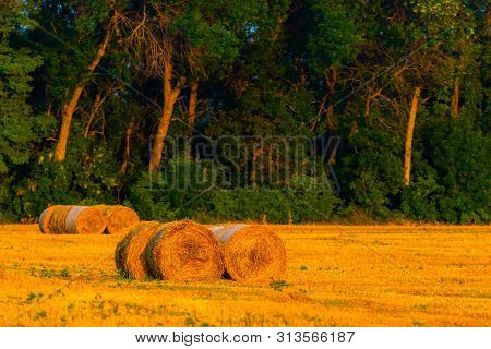 Rolled Haystack On Agriculture Field Landscape. Haystack Farmland Field Panorama. Harvest In Haystac