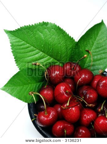 Ciliegie fresche con foglie