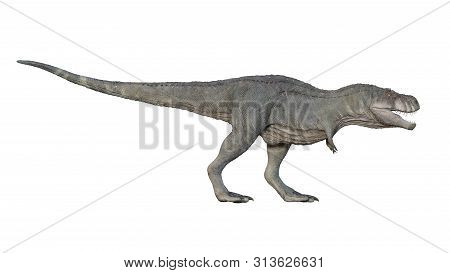 3d Render Of Tyrannosaurus Rex On A White Background