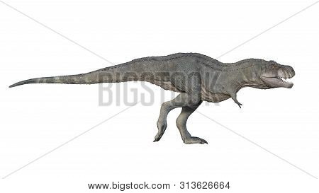3d Render Of Tyrannosaurus Rex On A White Background
