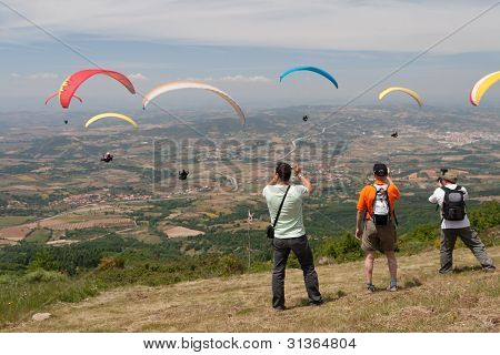 Paragliders