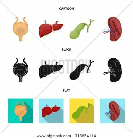 Bitmap Design Of Body And Human Icon. Collection Of Body And Medical Stock Symbol For Web.