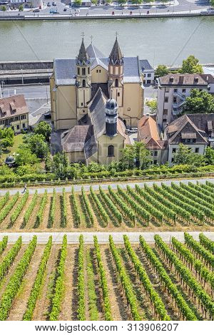 Saint Burkard Catholic Church And Vineyard From Marienberg Fortress, Wurzburg, Bavaria, Germany. Tra