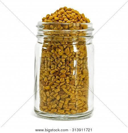 Fresh Fenugreek Seed Isolated On White Background