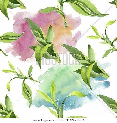 Bamboo Green Leaves. Watercolor Background Illustration Set. Seamless Background Pattern.