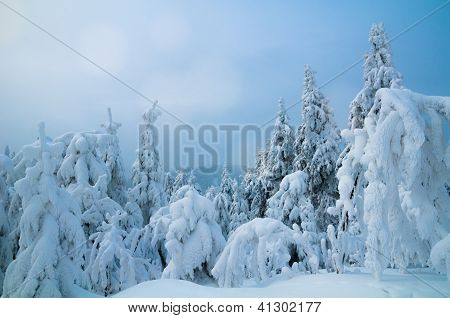 Invierno