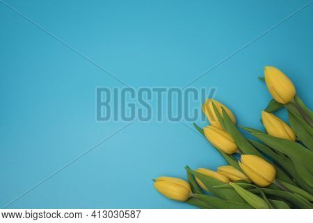 Yellow Tulips On The Blue Background, With Free Space For Text.