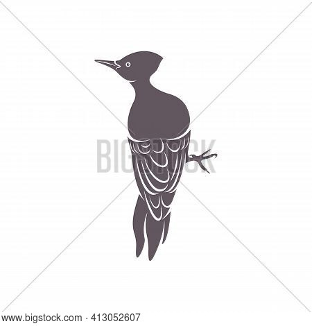 Woodpecker Bird Design Vector Illustration, Creative Woodpecker Bird Logo Design Concept Template, S