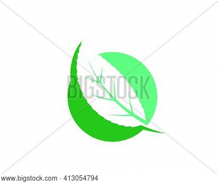 Green Leaf Ecology Nature Element Vector Icon Of Go Green