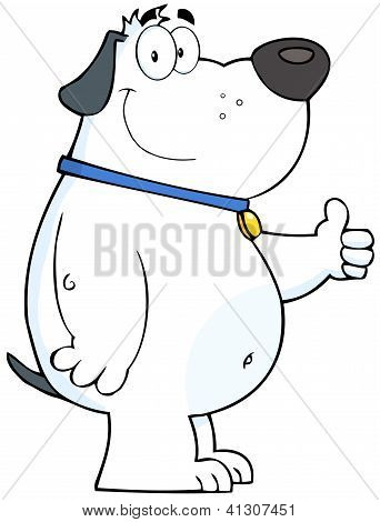 Smiling White Fat Dog Showing Thumbs Up