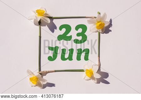 June 23th. Day 23 Of The Month, Calendar Date. Frame From Flowers Of A Narcissus On A Light Backgrou