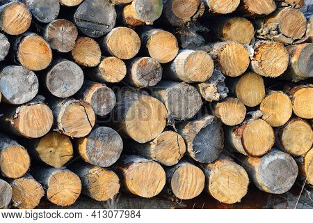 Chopped Wood Roundwood Close Up For The Woodworking Industry