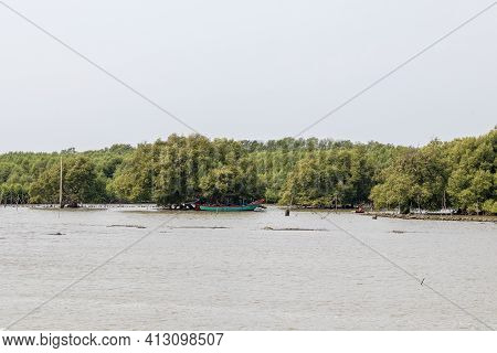 Forest Trees And Natural Wetlands By The Sea In Thailand.