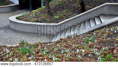 Retaining Wall At The Large Staircase In The Park The Flowerbed Area Is Planted With Rich Greenery O