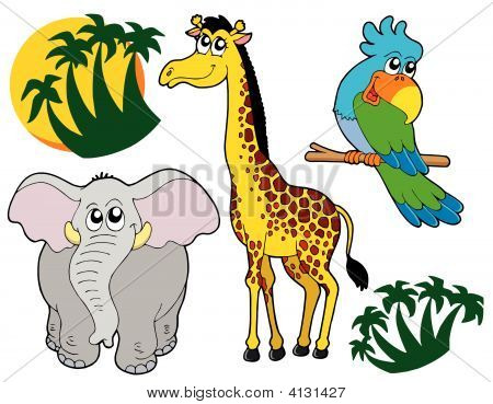 African Animals Collection