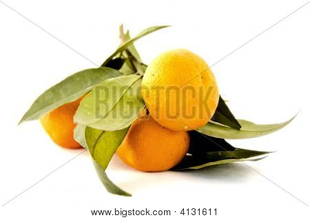 Orange flok - tæt