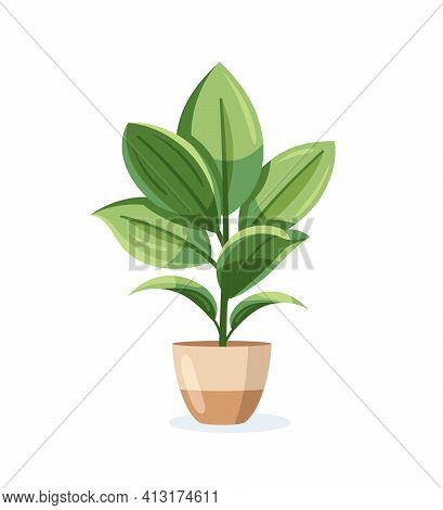 Flower In Pot Isolated On White Background