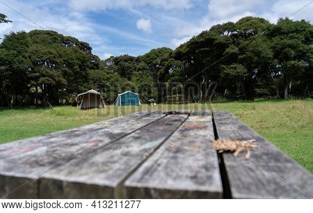 New Zealand Camping Scene With Tents And Table In Field Sheltered By Trees.