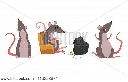 Funny Rat As Long-tailed Rodent Laughing And Playing Computer Game Vector Set
