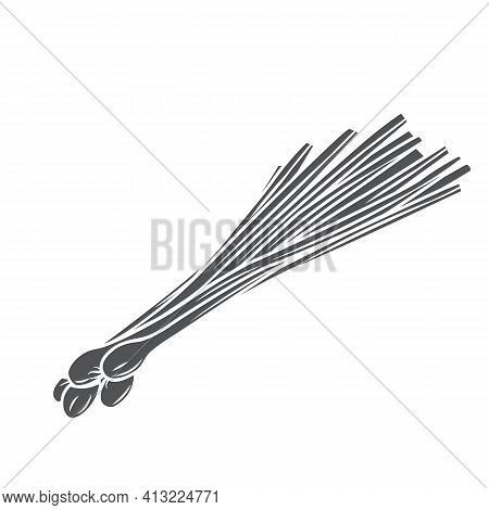 Bunch Of Fresh Green Onions Glyph Icon, Vector Cut Monochrome Badge. Engraved Illustration Of Sprout