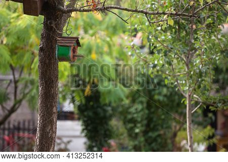 Handmade Diy Bird Wooden House Hanging On A Tree. This Wooden Nestling Box Is Used To Feed And Prote